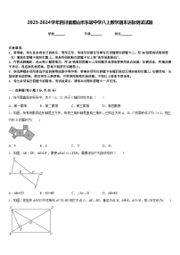 2023-2024学年四川省眉山市东坡中学八上数学期末达标测试试题含答案