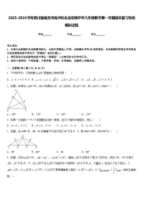 2023-2024学年四川省南充市高坪区会龙初级中学八年级数学第一学期期末复习检测模拟试题含答案