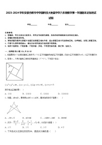 2023-2024学年安徽合肥市中学国科技大附属中学八年级数学第一学期期末达标测试试题含答案