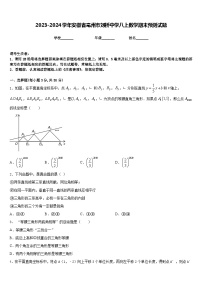 2023-2024学年安徽省亳州市刘桥中学八上数学期末预测试题含答案