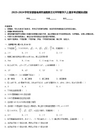 2023-2024学年安徽省亳州市涡阳县王元中学数学八上期末考试模拟试题含答案