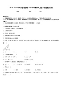 2023-2024学年安徽省合肥二十一中学数学八上期末检测模拟试题含答案