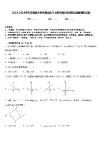 2023-2024学年安徽省合肥市蜀山区八上数学期末质量跟踪监视模拟试题含答案