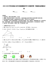 2023-2024学年安徽省六安市天堂寨镇暖流中学八年级数学第一学期期末监测模拟试题含答案