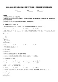 2023-2024学年安徽省养鹿中学数学八年级第一学期期末复习检测模拟试题含答案