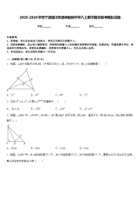 2023-2024学年宁夏银川市唐徕回民中学八上数学期末联考模拟试题含答案