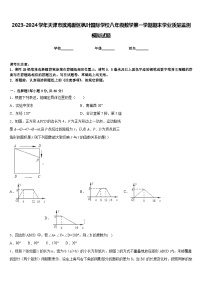 2023-2024学年天津市滨海新区枫叶国际学校八年级数学第一学期期末学业质量监测模拟试题含答案