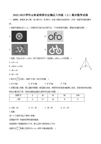 2022-2023学年山东省菏泽市定陶区八年级（上）期末数学试卷（含解析）