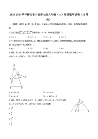 2023-2024学年浙江省宁波市七校八年级（上）培优数学试卷（12月份）（含解析）