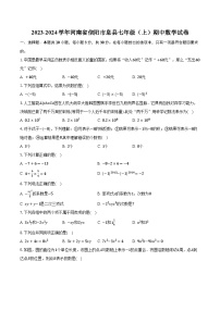 2023-2024学年河南省信阳市息县七年级（上）期中数学试卷（含解析）