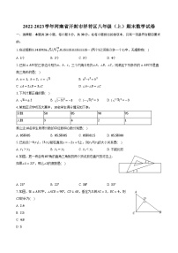 2022-2023学年河南省开封市祥符区八年级（上）期末数学试卷（含解析）