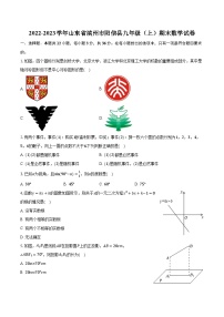 2022-2023学年山东省滨州市阳信县九年级（上）期末数学试卷（含解析）