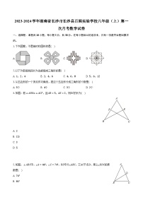 2023-2024学年湖南省长沙市长沙县百熙实验学校八年级（上）第一次月考数学试卷（含解析）