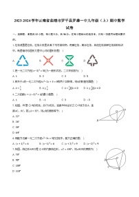 2023-2024学年云南省曲靖市罗平县罗雄一中九年级（上）期中数学试卷（含解析）