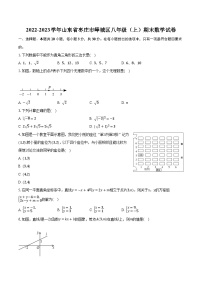 2022-2023学年山东省枣庄市峄城区八年级（上）期末数学试卷（含解析）