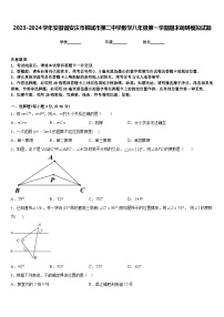 2023-2024学年安徽省安庆市桐城市第二中学数学八年级第一学期期末调研模拟试题含答案