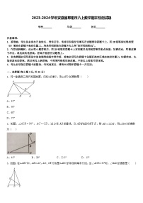 2023-2024学年安徽省阜阳市八上数学期末检测试题含答案