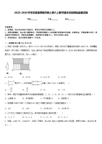 2023-2024学年安徽省阜阳市颍上县八上数学期末质量跟踪监视试题含答案