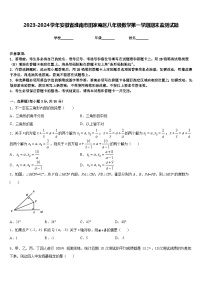 2023-2024学年安徽省淮南市田家庵区八年级数学第一学期期末监测试题含答案