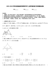 2023-2024学年安徽省宿州市鹏程中学八上数学期末复习检测模拟试题含答案