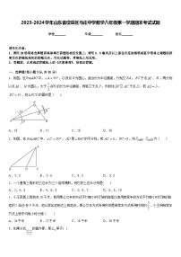 2023-2024学年山东省岱岳区马庄中学数学八年级第一学期期末考试试题含答案