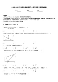 2023-2024学年山东省武城县八上数学期末考试模拟试题含答案