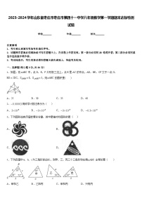 2023-2024学年山东省枣庄市枣庄市第四十一中学八年级数学第一学期期末达标检测试题含答案