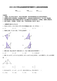 2023-2024学年山东省滨州市邹平县数学八上期末达标检测试题含答案