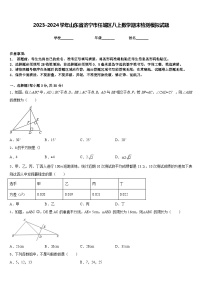 2023-2024学年山东省济宁市任城区八上数学期末检测模拟试题含答案