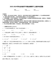 2023-2024学年山东省济宁市微山县数学八上期末考试试题含答案