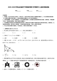 2023-2024学年山东省济宁市邹城市第八中学数学八上期末预测试题含答案