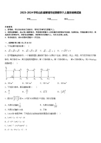 2023-2024学年山东省聊城市冠县数学八上期末调研试题含答案