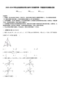 2023-2024学年山东省青岛市青大附中八年级数学第一学期期末检测模拟试题含答案