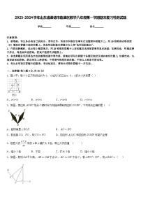 2023-2024学年山东省淄博市临淄区数学八年级第一学期期末复习检测试题含答案