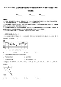 2023-2024学年广东省佛山北外附学校三水外国语学校数学八年级第一学期期末调研模拟试题含答案