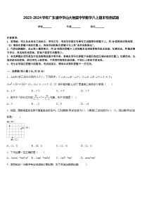 2023-2024学年广东省中学山大附属中学数学八上期末检测试题含答案