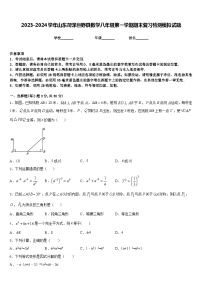 2023-2024学年山东菏泽巨野县数学八年级第一学期期末复习检测模拟试题含答案