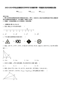 2023-2024学年山东聊城市文轩中学八年级数学第一学期期末质量检测模拟试题含答案