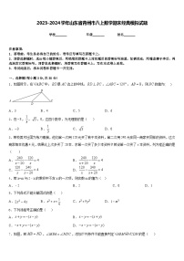 2023-2024学年山东省青州市八上数学期末经典模拟试题含答案