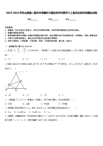 2023-2024学年山西省（临汾市尧都区兴国实验学校数学八上期末达标检测模拟试题含答案