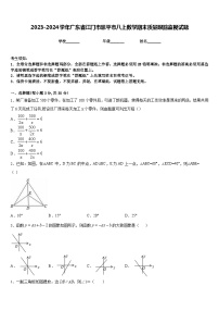 2023-2024学年广东省江门市恩平市八上数学期末质量跟踪监视试题含答案