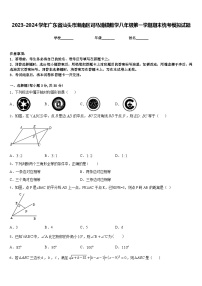 2023-2024学年广东省汕头市潮南区司马浦镇数学八年级第一学期期末统考模拟试题含答案