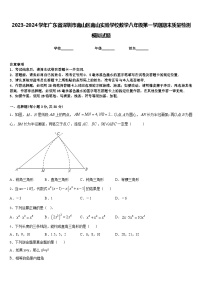 2023-2024学年广东省深圳市南山区南山实验学校数学八年级第一学期期末质量检测模拟试题含答案