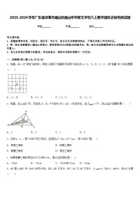 2023-2024学年广东省深圳市南山区南山中学英文学校八上数学期末达标检测试题含答案