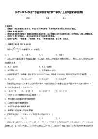 2023-2024学年广东省深圳市育才第二中学八上数学期末调研试题含答案