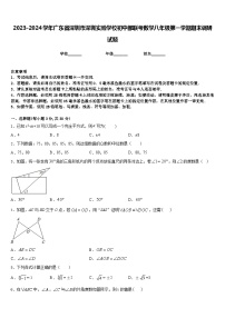 2023-2024学年广东省深圳市深圳实验学校初中部联考数学八年级第一学期期末调研试题含答案