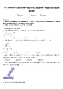 2023-2024学年广东省汕尾市甲子镇瀛江学校八年级数学第一学期期末质量跟踪监视模拟试题含答案