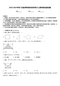 2023-2024学年广东省深圳市耀华实验学校八上数学期末监测试题含答案