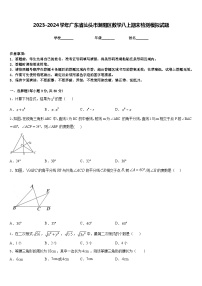 2023-2024学年广东省汕头市潮阳区数学八上期末检测模拟试题含答案