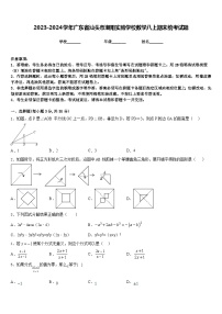 2023-2024学年广东省汕头市潮阳实验学校数学八上期末统考试题含答案